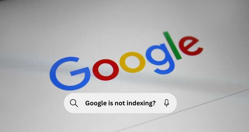 Why Google Is Not Indexing the Pages on My Site?